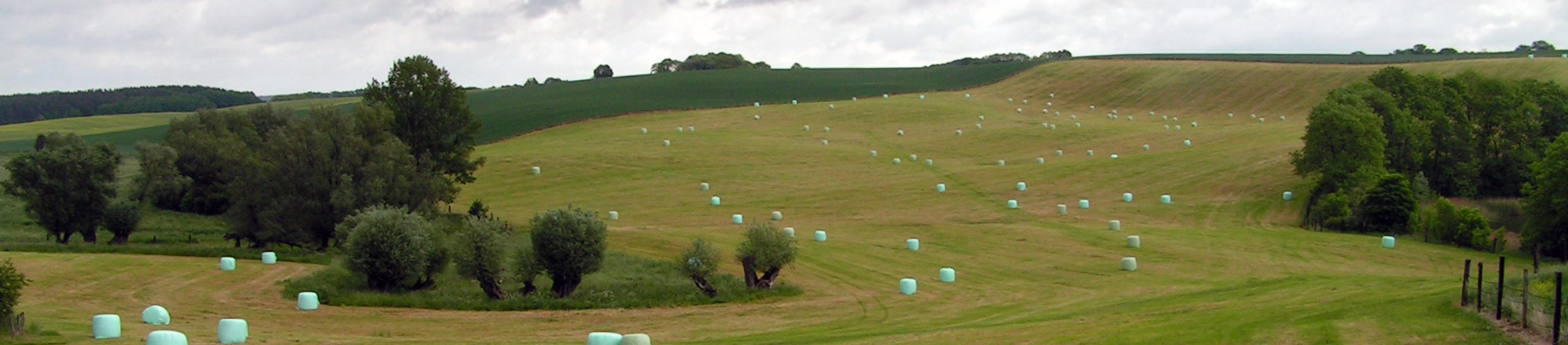 Header_GL_Siloballen_Landschaft