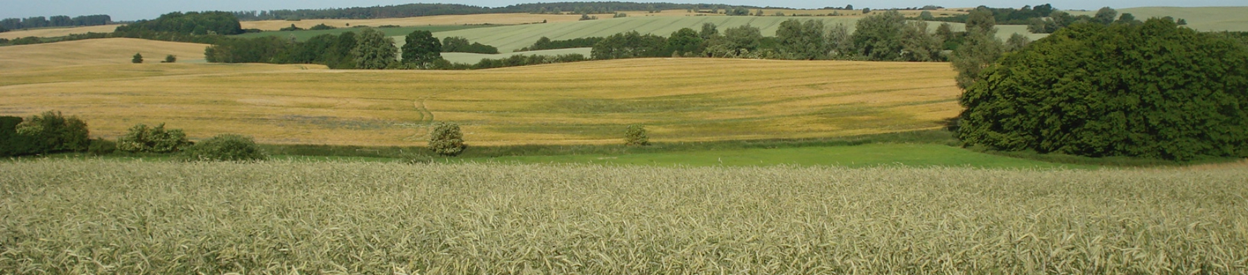 Header_Landschaft MV