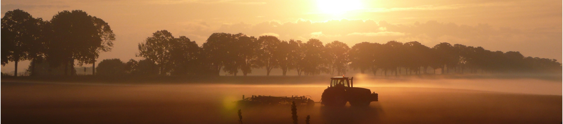 Sonnenaufgang_Traktor_Header