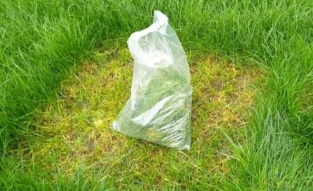 NEWS_Frischgrasernte1_2026