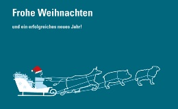 Weihnachten_2021_web