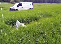 Schnittzeitpunktermittlung,Schnittreife,Futter,Grünland,Silage