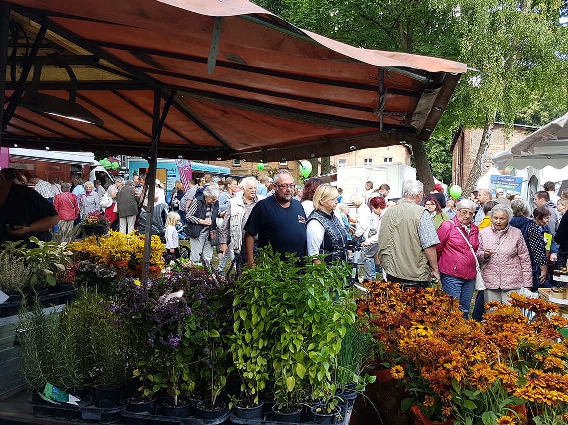 Bauernmarkt_20180901_111037_HP