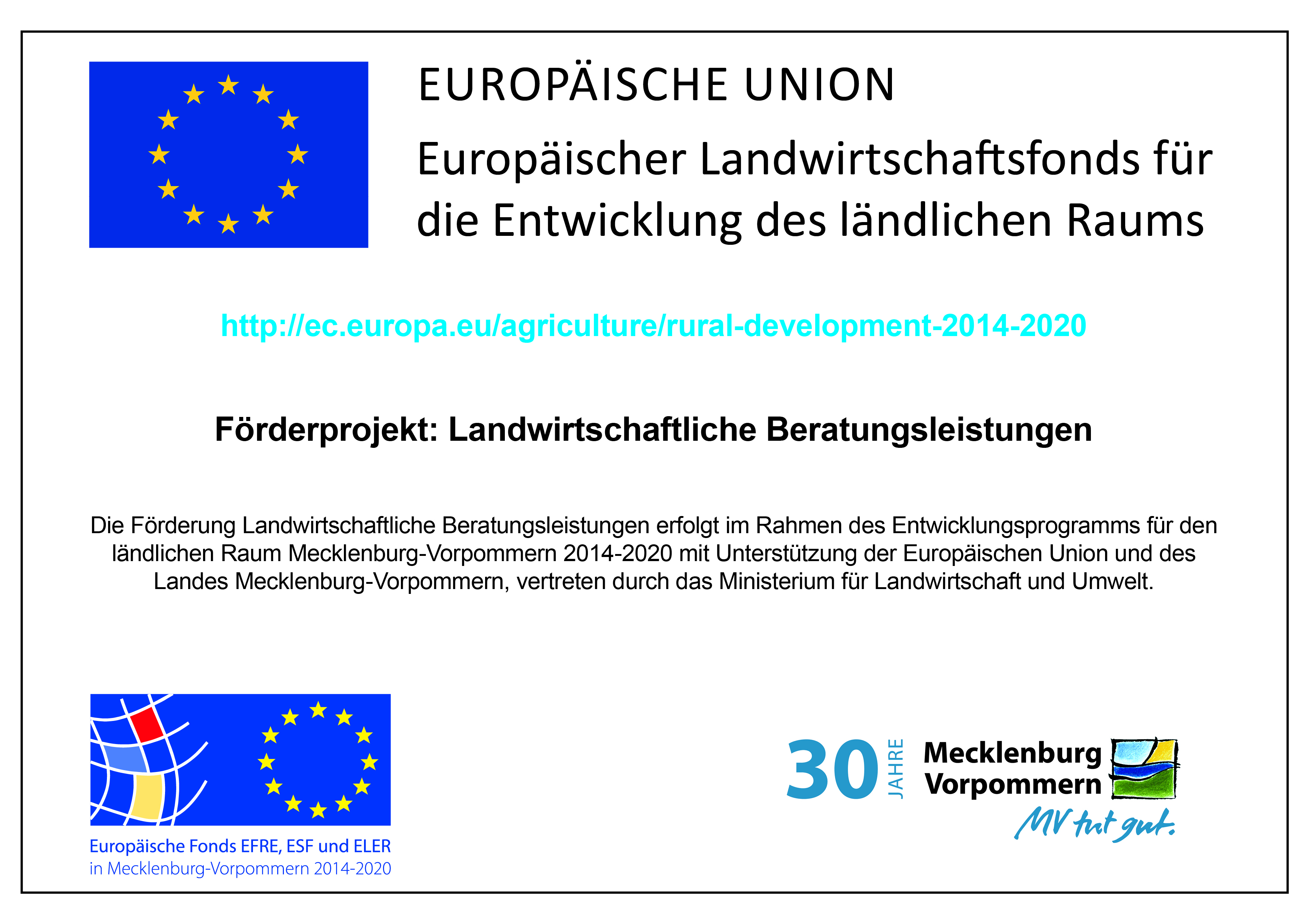 Internet_Beratungsfoerderung_A4_2019_30 Jahre MV